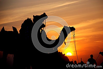 Shimmering evening of Desert Stock Photo